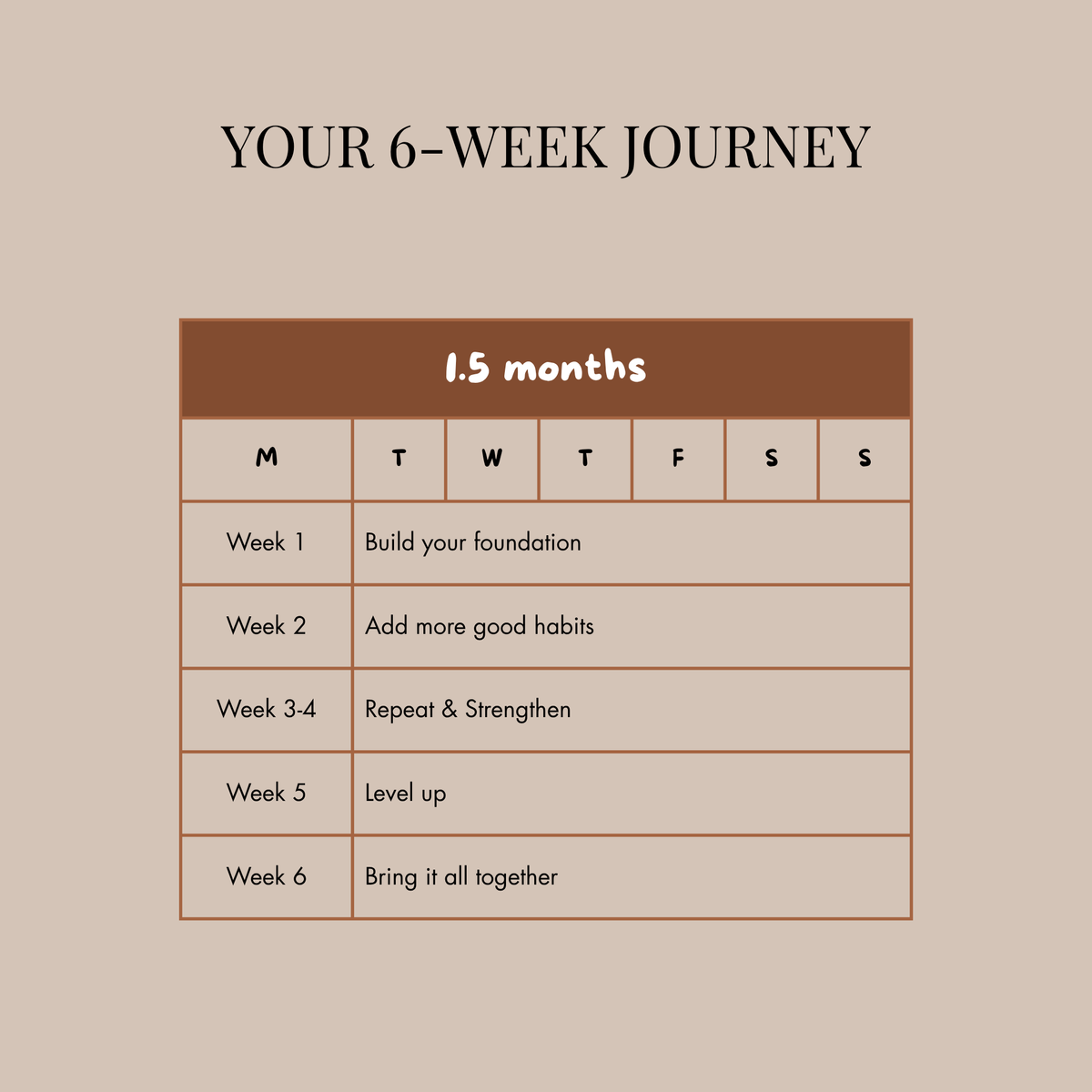 6-Week Nutritional Plan [everything in just 2 pages, no overwhelm]