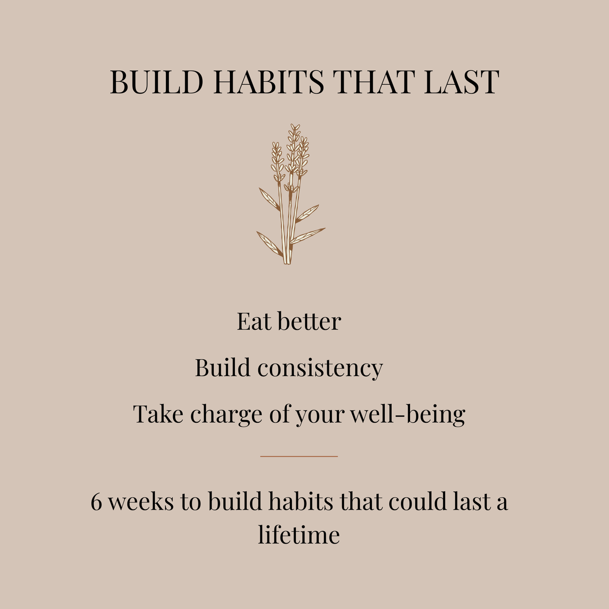 6-Week Nutritional Plan [everything in just 2 pages, no overwhelm]